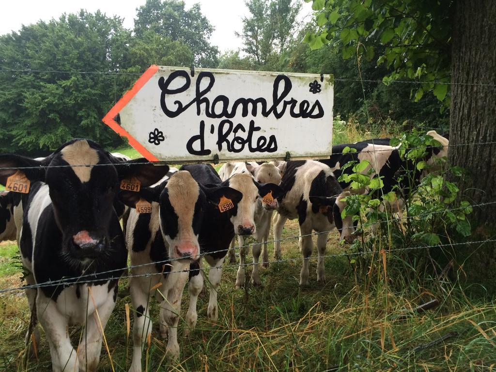 Les Chambres De Ribeaufontaine Dorengt Exterior foto